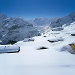 Appartement Pfingstrose By Interhome Grindelwald