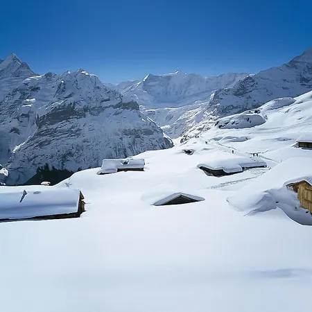 Appartement Pfingstrose By Interhome Grindelwald