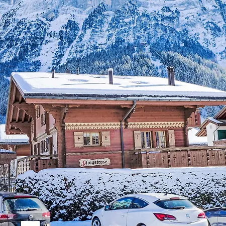 Pfingstrose By Interhome Apartment Grindelwald
