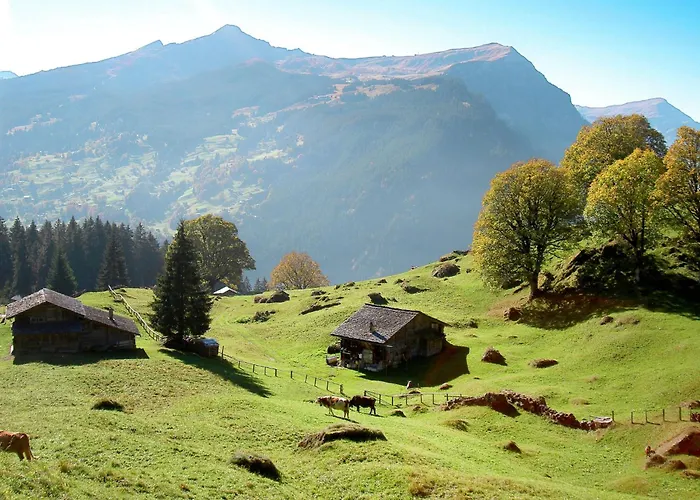 Pfingstrose By Interhome Appartement *