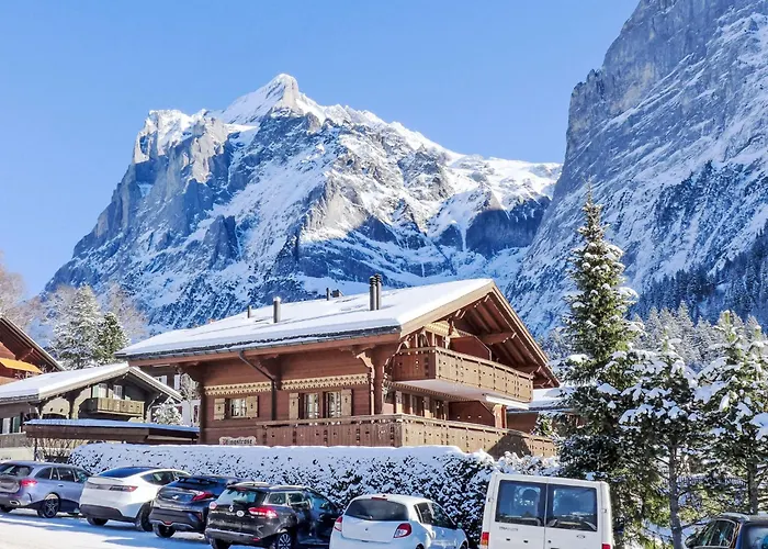 Pfingstrose By Interhome Daire